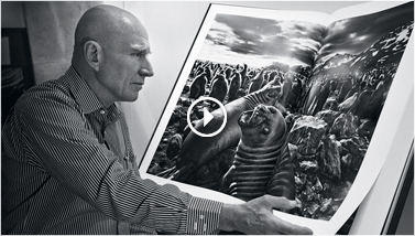 TASCHEN, Sebastião Salgado. GENESIS